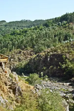 Paisagem dos Passadiços do Rio Paiva, com muitas árvores, o rio no meio, e o passadiço.